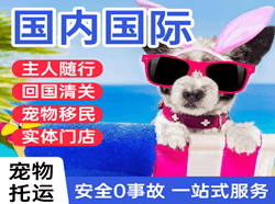 巴彦淖尔天吉泰机场快递国际宠物托运 【国